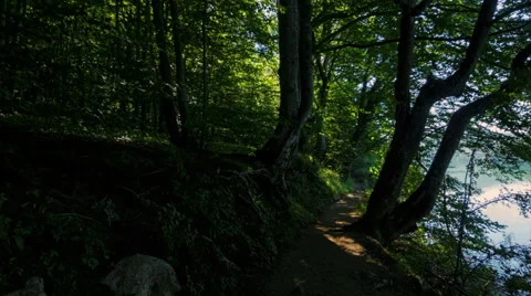 Walking through mountain forest near to the lake, steady cam shot 스톡 동영상 68649062