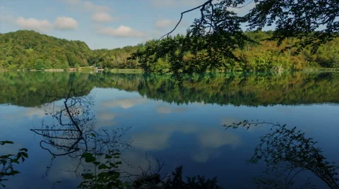 Walking through mountain forest near to the lake, steady cam shot Stock Footage 68649400