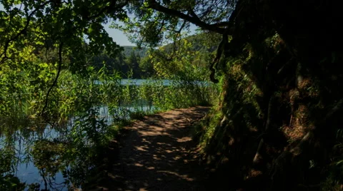 Walking through mountain forest near to the lake, steady cam shot Video stock 68650085