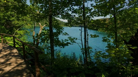 Walking through mountain forest near to the lake, steady cam shot Stock Footage 68650831