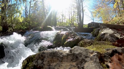 Walking through mountain forest near to the lake Stock Footage 115905810