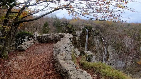 Walking through mountain forest near to the lake, Stock Footage 115973208
