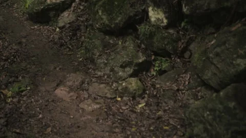 Walking Through A Mountain Forest - Stabilised Shot Stock Footage 145886979