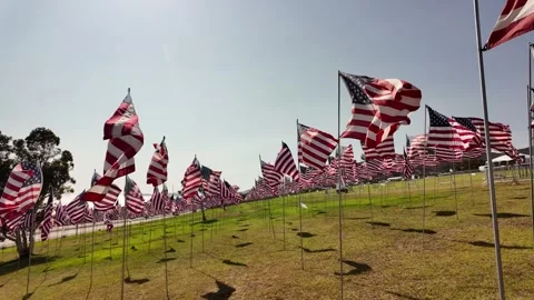 Walking through moving 9 11 tribute , Rows of American Flags Each for a Stock Footage 316904341