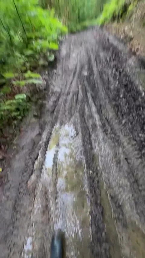 Walking through muddy forest trail in black rain boots with wildflower bouquet Vidéo 339882102