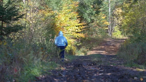 Walking through muddy tracks in autumn woods with colorful foliage Vídeos de archivo 313366066