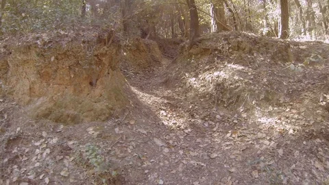 Walking through a mysterious path in the forest Stock Footage 105129343