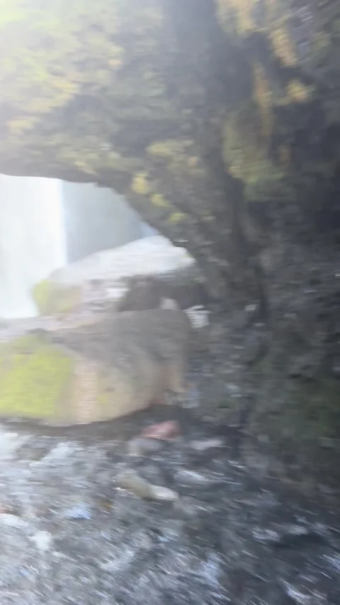 Walking through the narrow canyon to Gljufrabui waterfall, first-person POV Stock Footage 331560025