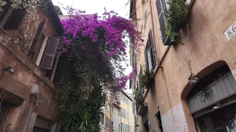 Walking through narrow historic streets of Rome with blooming flowers Stock Footage 338009444