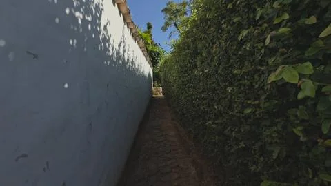 Walking through narrow passage with high white wall and green shrubs Stock Photos