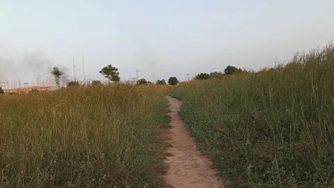 Walking Through Narrow Road with Long Grasses Kano, Nigeria 2K 動画素材 320059732