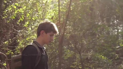 Walking Through Nature 29.97 FPS (6 clips) Video stock 35199797