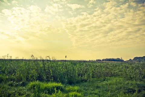 Walking through the nature. Stock Photos