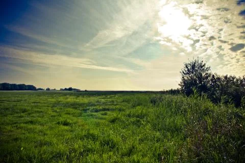 Walking through the nature. Foto stock
