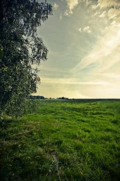Walking through the nature. Stock Photos