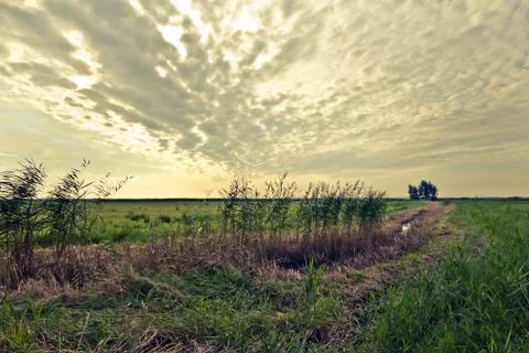 Walking through the nature. Stock Photos