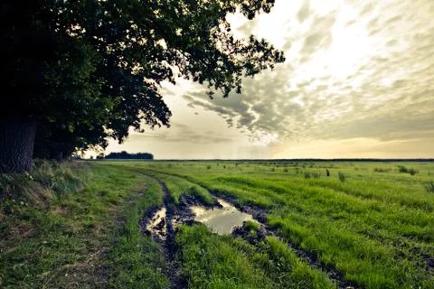 Walking through the nature. Foto stock