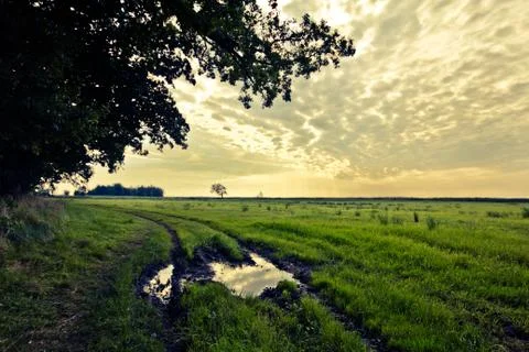 Walking through the nature. Stock Photos