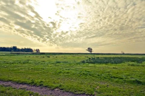 Walking through the nature. Stock Photos