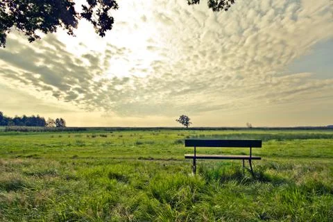Walking through the nature. Stock Photos