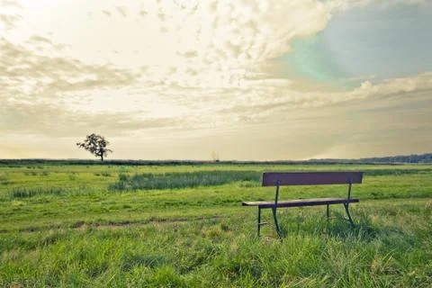 Walking through the nature. Foto stock