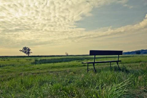 Walking through the nature. Foto stock