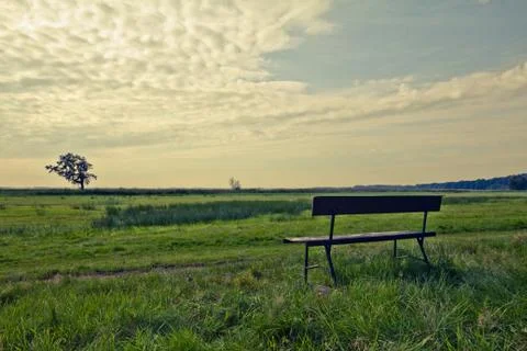 Walking through the nature. Foto stock