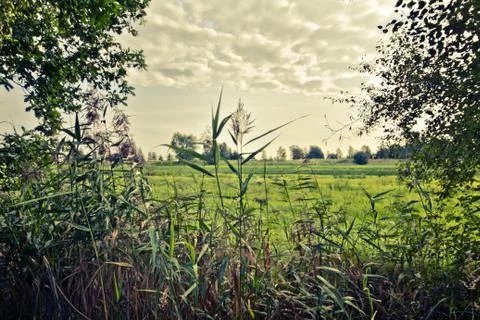 Walking through the nature. Stock Photos