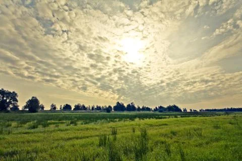Walking through the nature. Stock-Fotos