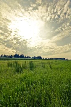 Walking through the nature. Stock Photos
