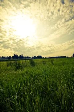 Walking through the nature. Stock Photos