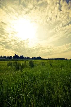 Walking through the nature. Stock Photos