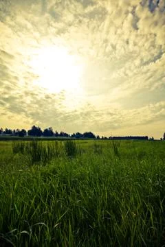 Walking through the nature. Stock Photos