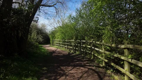 Walking through the nature reserve forest trail in spring 库存影片 332736588