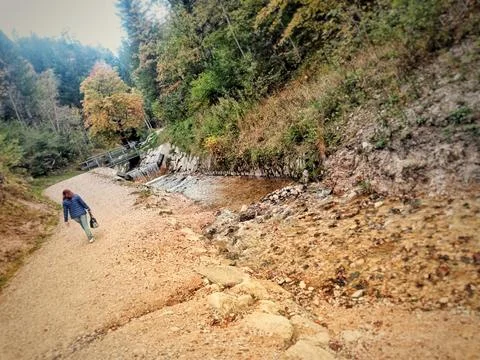 Walking Through Nature Trail Stock-Fotos