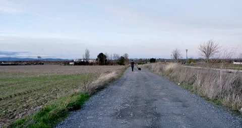 Walking through Nature's Embrace: Stock Footage 329680667