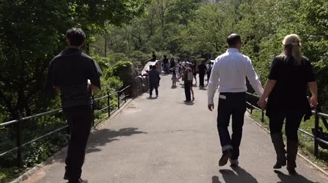 Walking through New York's Central park. Video with stabilized camera Stock-Footage 63495988