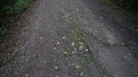 Walking through an old broken asphalt road Stock Footage 158970425