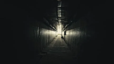 Walking through Old dark apartment building, long dark hallway. Horror mood Stockbeeldmateriaal 169294266