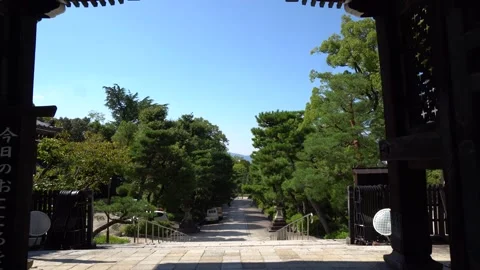 Walking Through Old Wooden Temple Gate With Japanese Pine Trees on Sunny Day Stock Footage 264965588