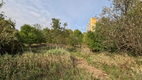 Walking Through Overgrown Green Area Towards City Buildings Stock Footage 318853077