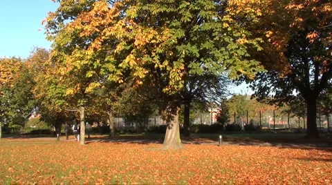 Walking through park in autumn Stock Footage 905341