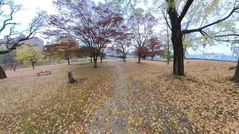 Walking through a park on a cloudy day in Autumn time. Stock Footage 256363836
