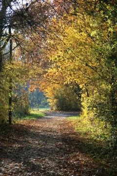 Walking through the park Stock Photos