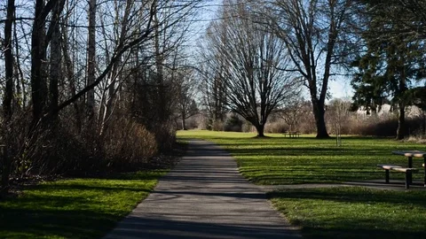 Walking through Park - POV Stock Footage 101216206