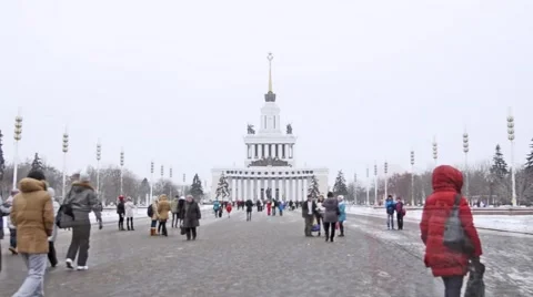 Walking Through the Park in Winter Stock Footage 45030461