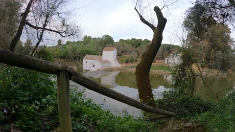 Walking through the Parque de Oromana in Alcala de Guadaira, 库存影片 171621435