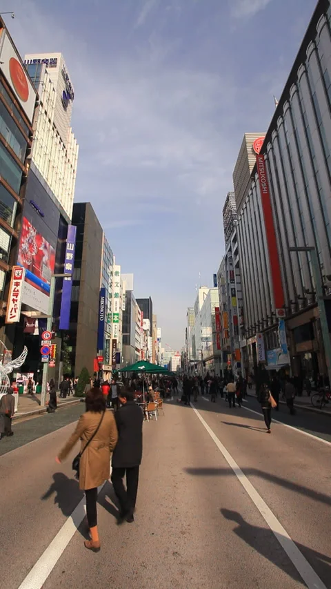 Walking Through the Pedestrian Paradise of Ginza 動画素材 330346105