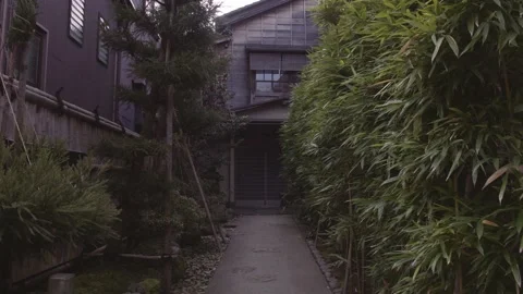 Walking through a plot of Japanese houses decorated with bamboo. 4K Vídeos de archivo 161457785