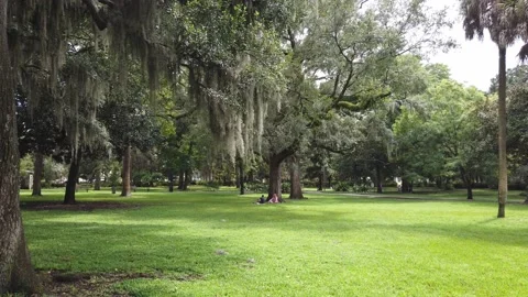 Walking Through a Pretty Park In Savanah Georgia Stock Footage 220034229